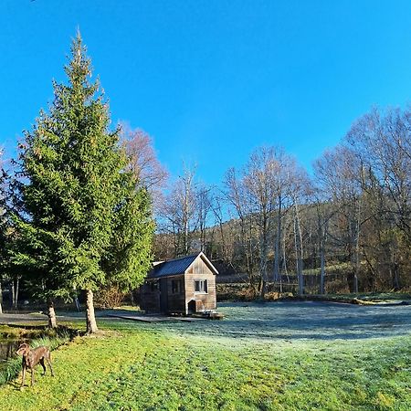 Insolite Tiny House Sérénité Bien Être Ban-sur-Meurthe-Clefcy Esterno foto