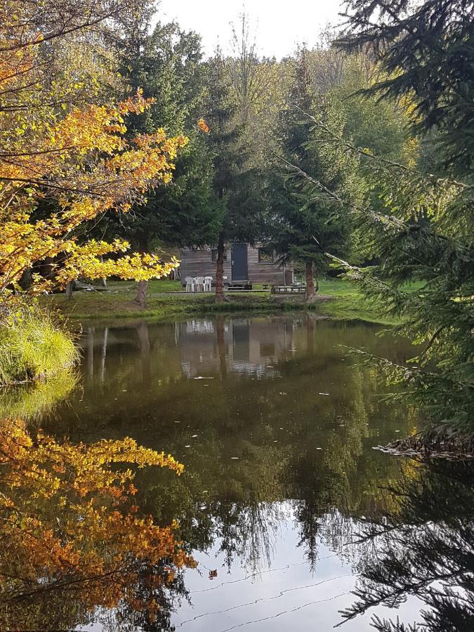 Insolite Tiny House Sérénité Bien Être Ban-sur-Meurthe-Clefcy Esterno foto
