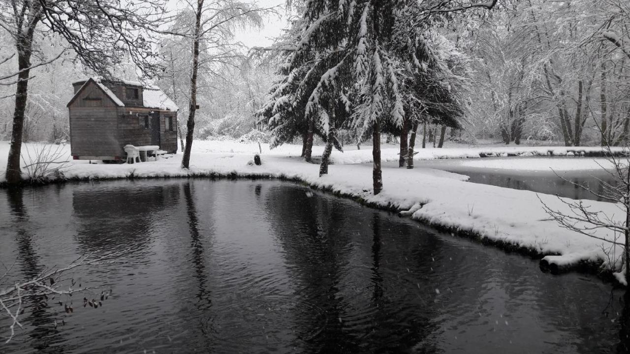 Insolite Tiny House Sérénité Bien Être Ban-sur-Meurthe-Clefcy Esterno foto