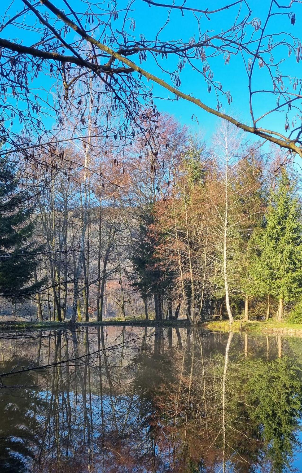 Insolite Tiny House Sérénité Bien Être Ban-sur-Meurthe-Clefcy Esterno foto